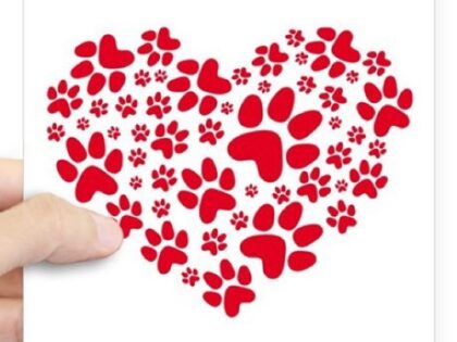 Paw print heart bumper sticker