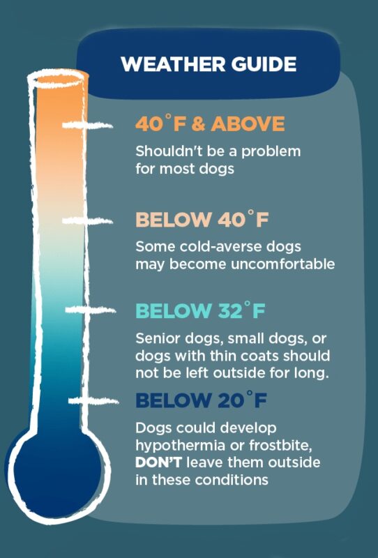 Weather Guide reference from Outward Hound "How Cold Is Too Cold for Dogs"