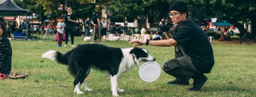 dog playing frisbee with owner