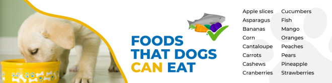 Foods Dogs Can Eat