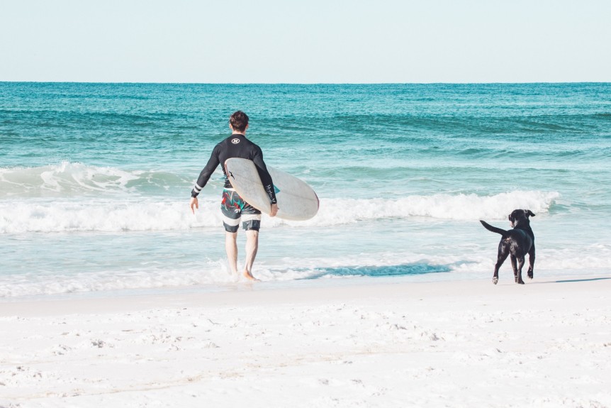 man and dog on beach