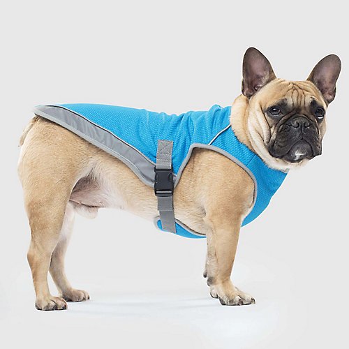 Canada Pooch Aqua Vest