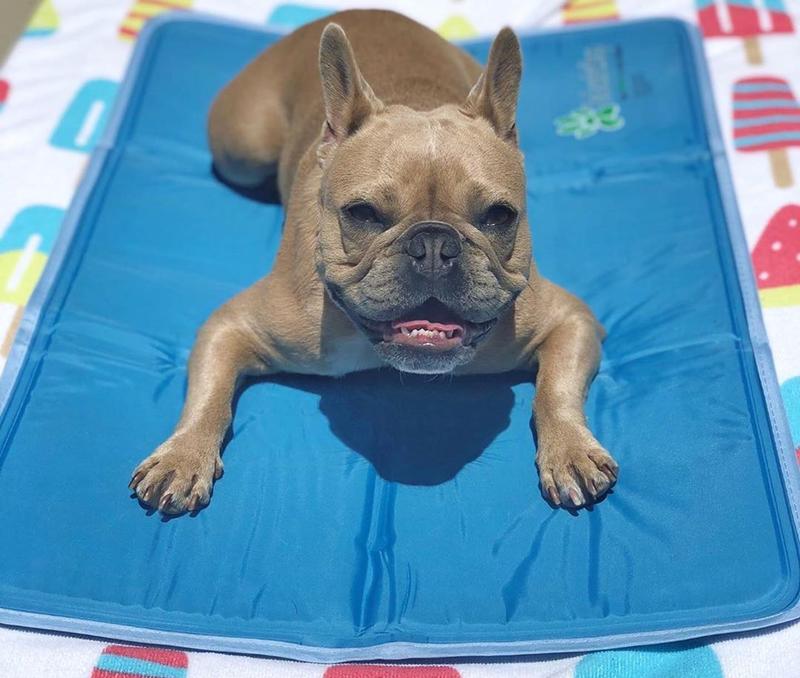 Cooling Pet Pad