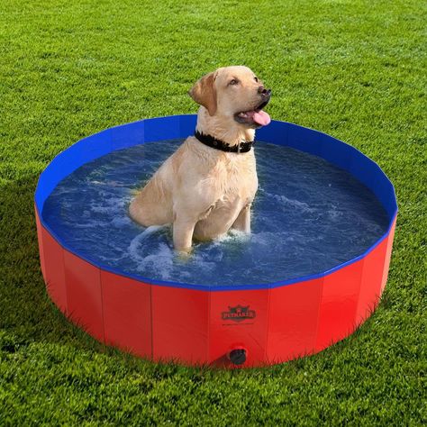 PetMaker Collapsible Pool