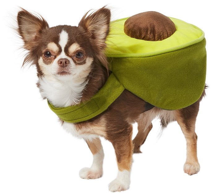 Avocado Dog Costume