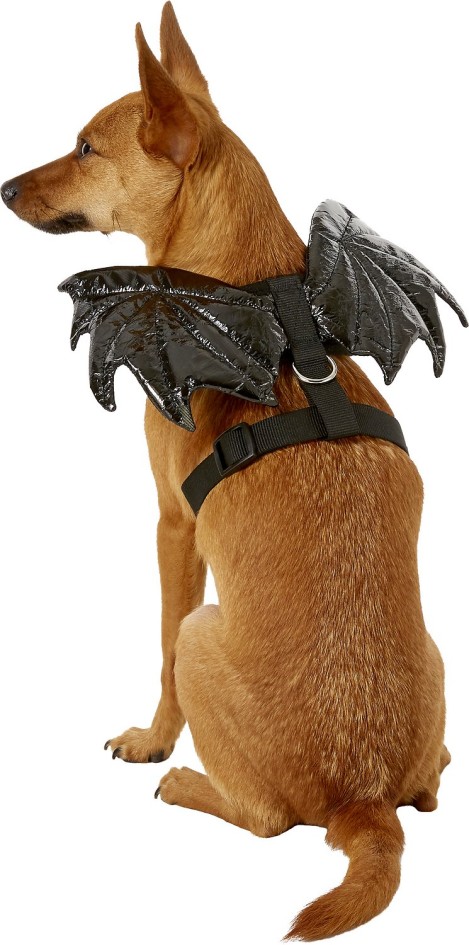 Bat Wings Dog Costume
