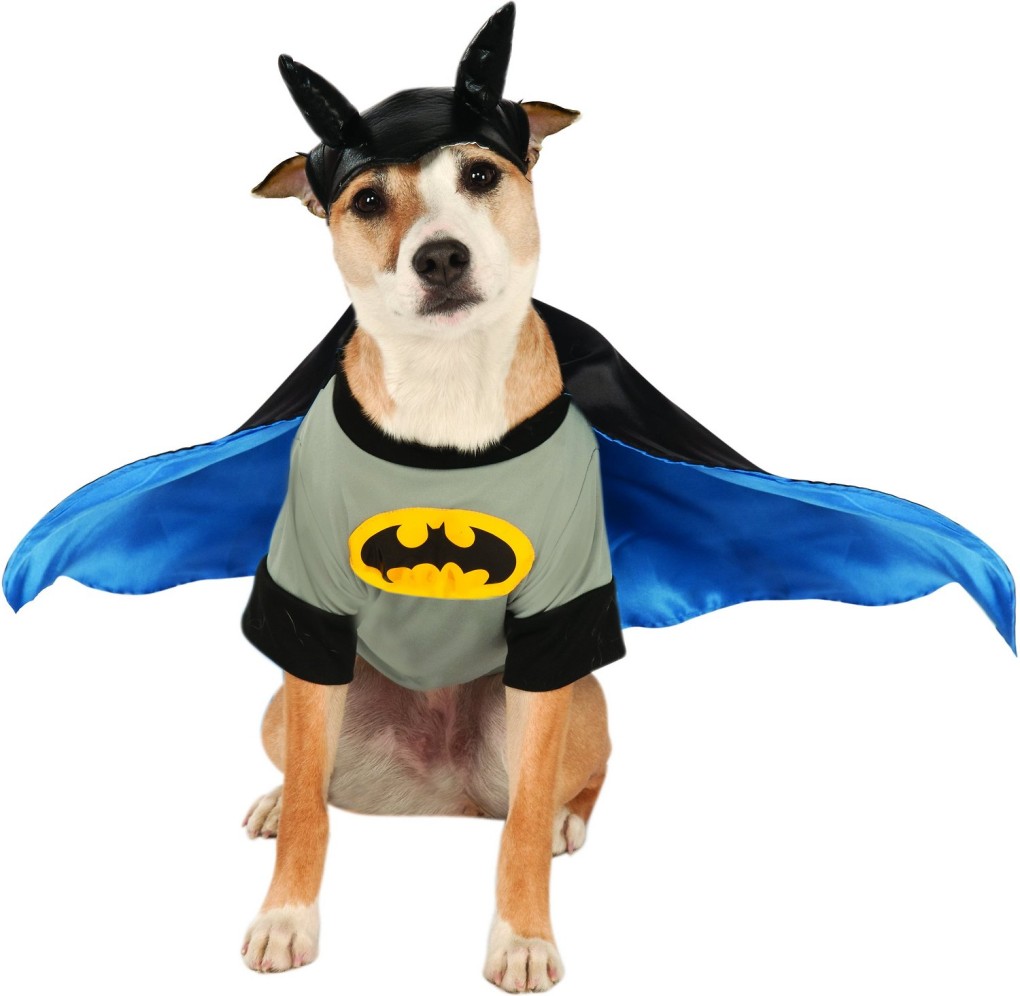 Batman Dog Costume