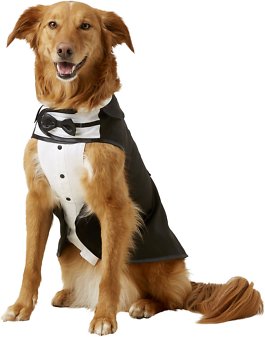 Dog Tuxedo Costume