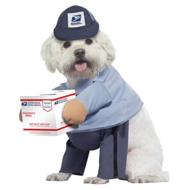 USPS Dog Costume