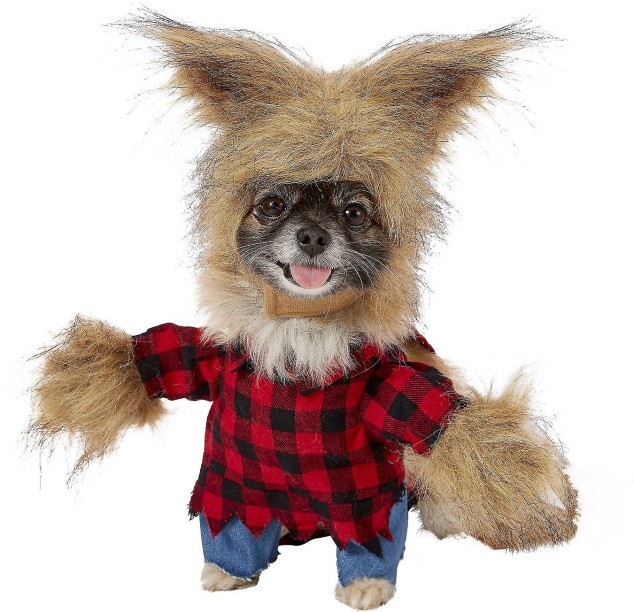 Werewolf Dog Costume