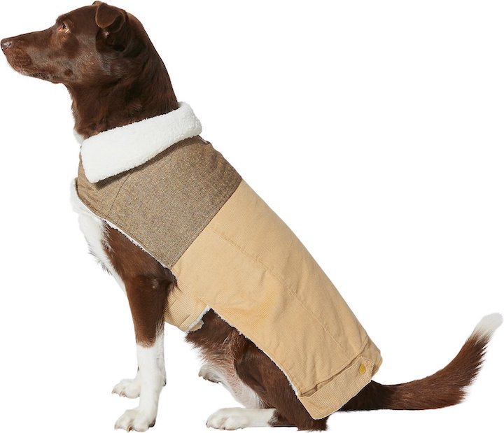 Frisco Corduroy Insulated Dog & Cat Jacket