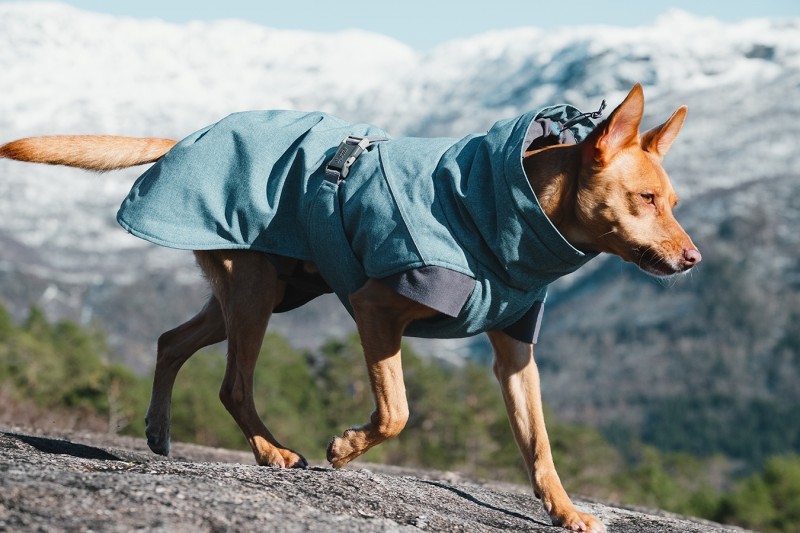 Hurtta Expedition Insulated Dog Parka