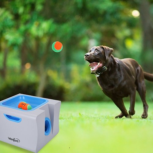 iDogmate Automatic Ball Launcher