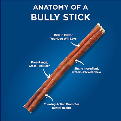 bullstick