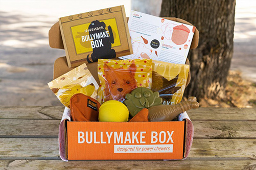 Dog Boredom - Bullymake Box - A Dog Subscription Box For Power