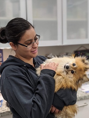 A veterinarian holds a dog in her arms.