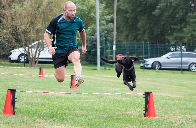 Man and his dog on an obstacle course.