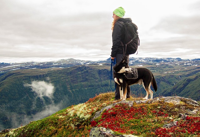 Woman and dog hike to the top of a mountain.