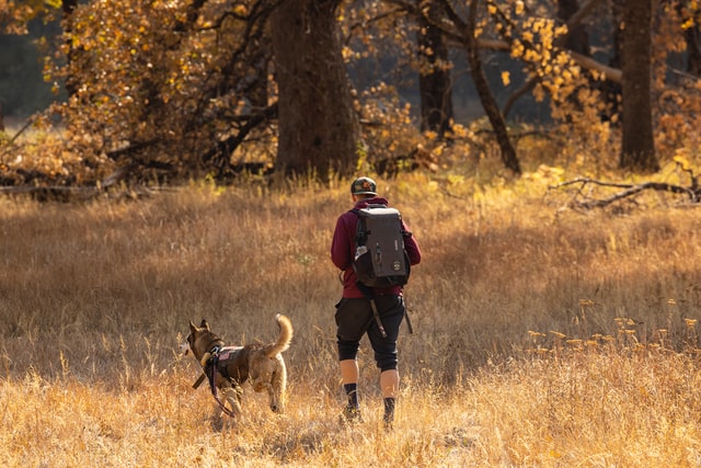 Man hikes with his dog.