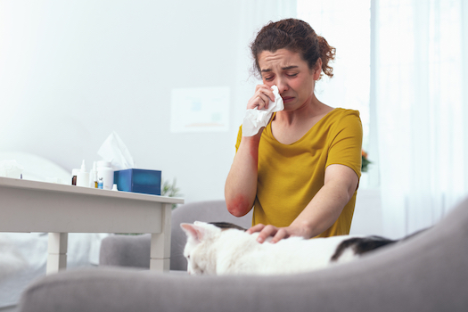 A young miserable woman blows her nose due to her cat allergy.