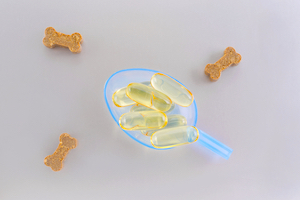 A spoon of fish oil with dog treats.
