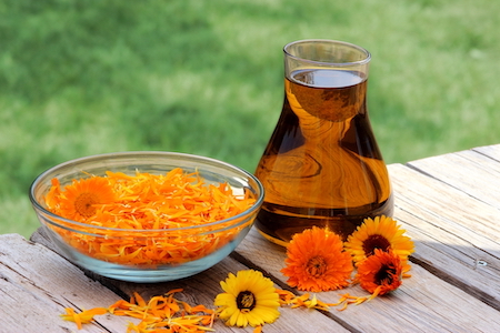 Calendula flowers and oil