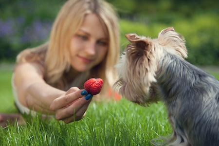A pet parent feeds her dog a strawberry.