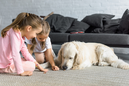 Two girls feed a retriever treats.