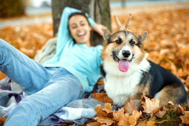 A woman sits behind her Corgi dog.