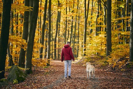A man and his dog hike in a forest.