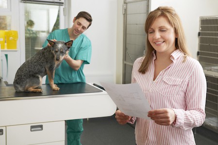 A pet parent examines the vet bill.