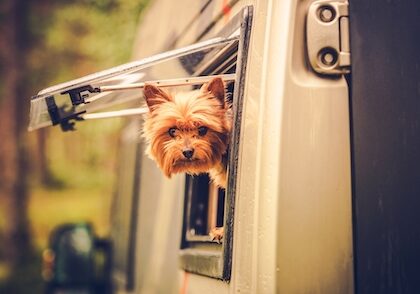A dog sticks his head out an RV window.