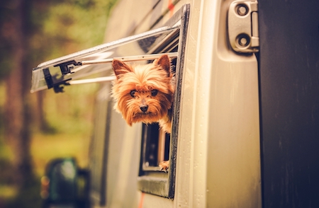 A dog sticks his head out an RV window.