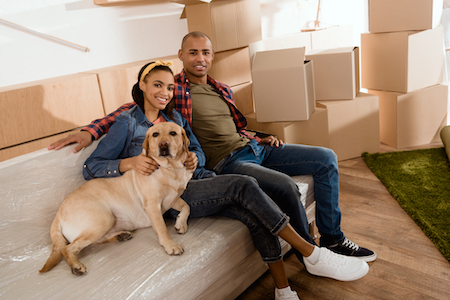 A retriever sits with his owners on a couch with moving boxes behind them.