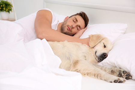 5 Tips for a Better Night s Sleep with Your Dog Pet Insurance Review