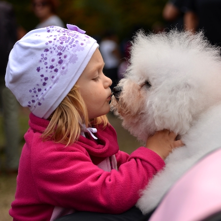 is it ok for a dog to lick a baby