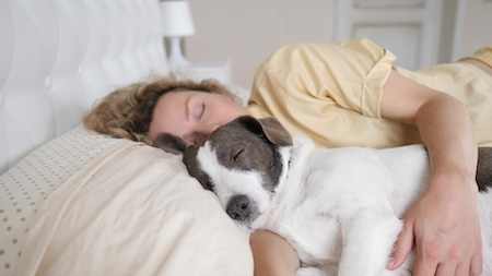 Is it ok for your dog outlet to sleep in your bed