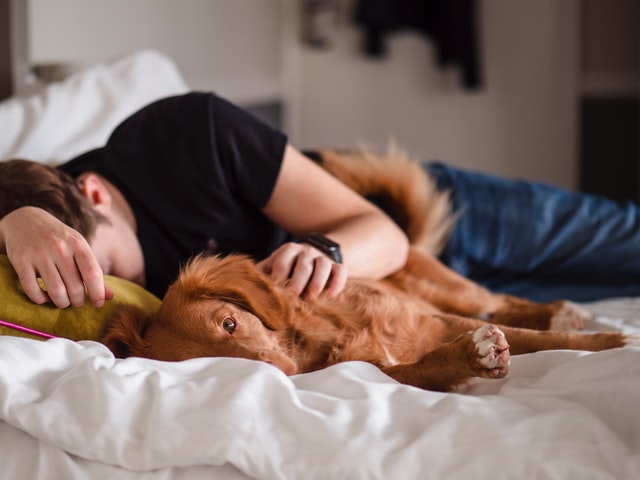 How to sleep with your dog sale