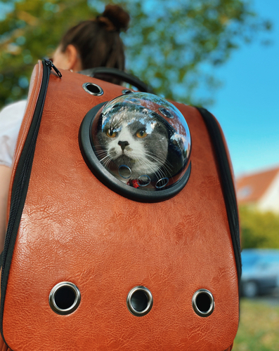 Portable Travel Pet Carrier Bubble Backpack for Dog and Cat Dome