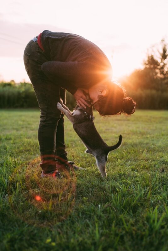 how do dogs show affection?