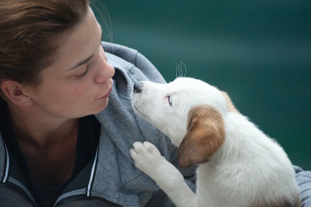 how does a puppy show affection