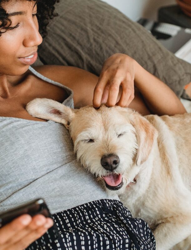 how does a puppy show affection