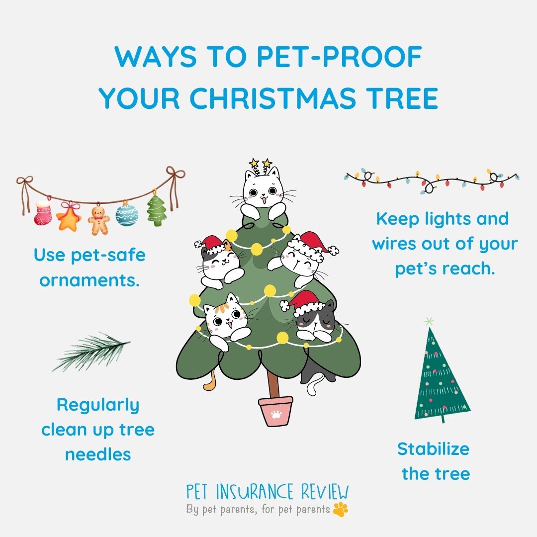 8 Ways to PetProof Your Christmas Tree Pet Insurance Review