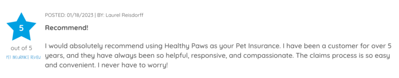 healthy-paws-review