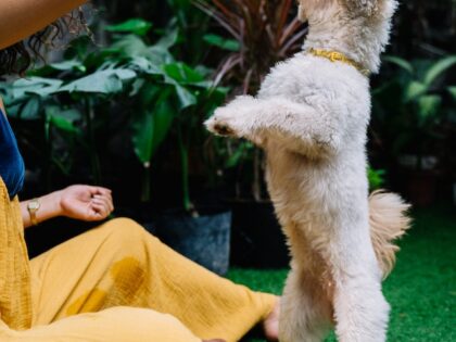 pexels-anna-tarazevich-6268729