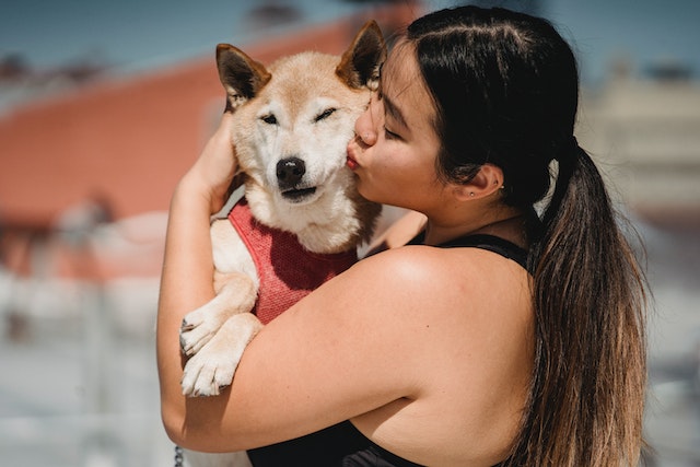 Do dogs know what kisses are?