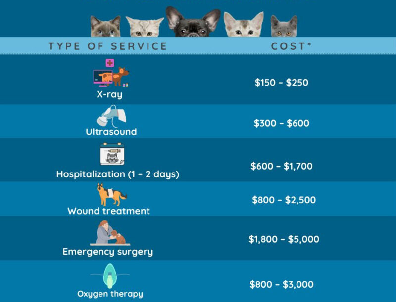 Average costs of emergency vet care