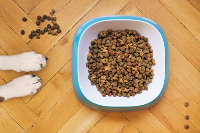 pet food labels