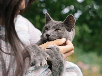pexels-mikhail-nilov-9783906