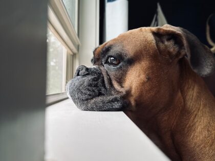the-gallery-c77-FlCqdwo-unsplash
